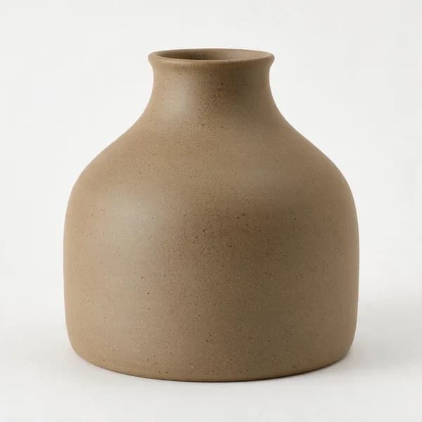 Reference plate: a wide-bellied matte stoneware vessel on white